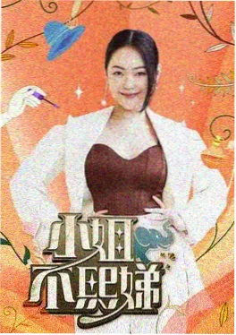 欧美城市纪实节目 城市夜行者 海报
